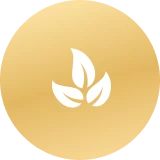 Sport Massage Sport Massage